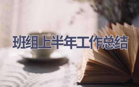 班組上半年工作總結(19篇優選范文）num