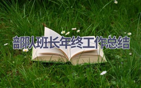 部隊班長年終工作總結(12篇優選范文）num