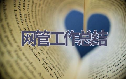 網管工作總結(11篇優選范文）num