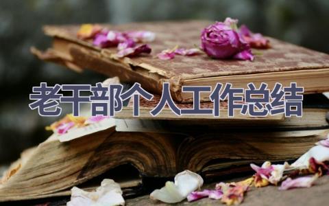 老干部個人工作總結(11篇優選范文）num