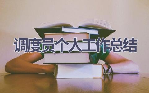 調度員個人工作總結(10篇優選范文）num