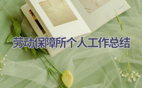 勞動保障所個人工作總結(11篇優選范文）num