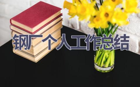 鋼廠個人工作總結(15篇優選范文）num