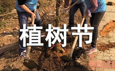 小學生植樹節活動方案 小學生植樹節活動方案設計