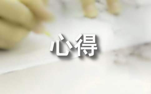 試用期工作心得 試用期工作心得報告