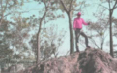 大學生登山活動策劃書 關于大學生登山活動的策劃