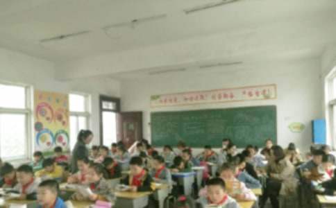 教學質量月活動總結 教學質量月活動總結怎么寫范文