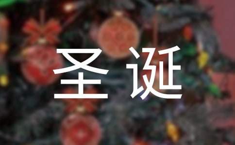 圣誕親子活動總結 幼兒園親子活動總結