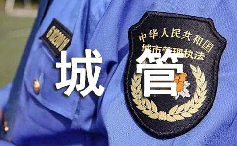 街道城管科上半年工作總結 街道城管科上半年工作總結怎么寫