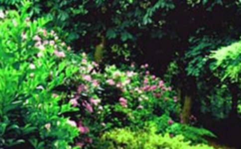 《巨人的花園》說課稿 《巨人的花園》說課稿的說學生部分