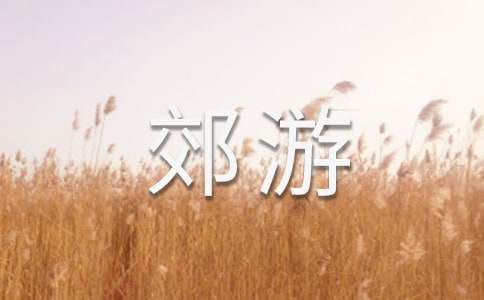郊游活動方案 郊游活動方案效果與評價