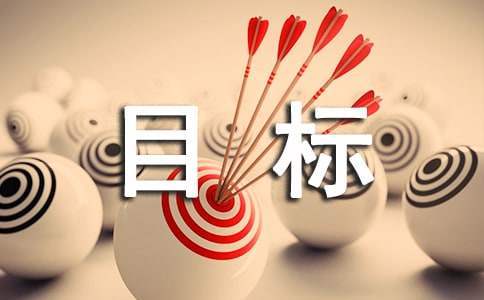 今后的工作計劃和目標-工作計劃 今后工作計劃與打算