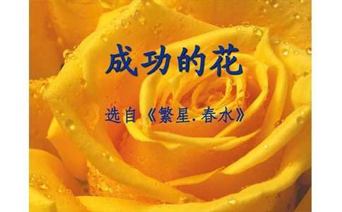 五四青年節演講稿：成功的花兒 成功的花朗誦