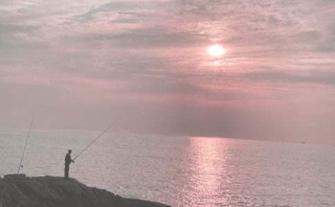 釣魚比賽活動總結 釣魚比賽活動總結怎么寫