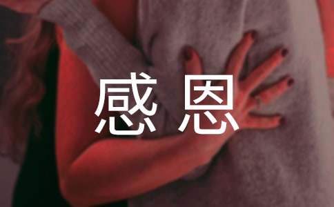 感恩活動總結 綠色離校綠色感恩活動總結