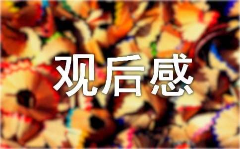 《奮斗有我一起向未來》優秀觀后感 奮斗有你,未來可期