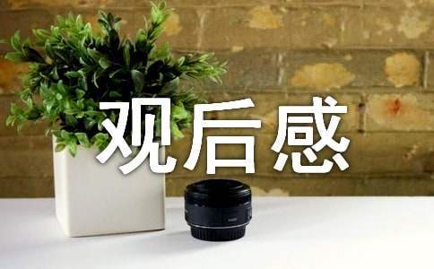 我和我的父輩優秀觀后感500字 我和我的父輩優秀觀后感500字左右