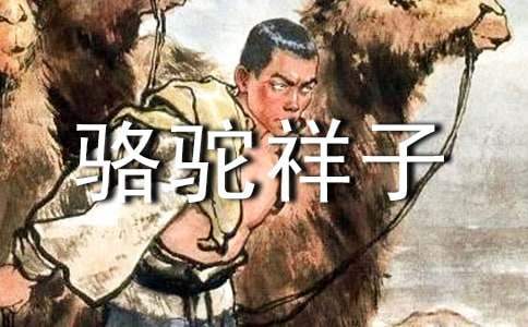 電影《駱駝祥子》的個人觀后感 觀電影駱駝祥子有感