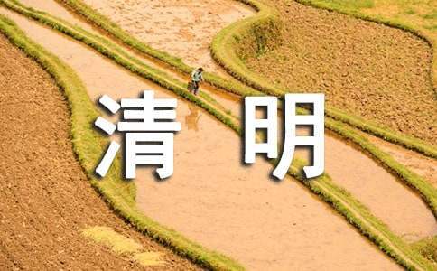 清明節室內活動策劃方案 關于清明節的室內小游戲