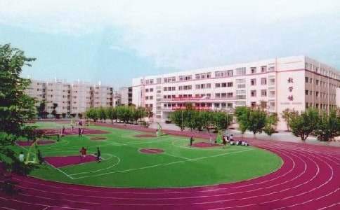 校園親子活動的總結 校園親子活動感想