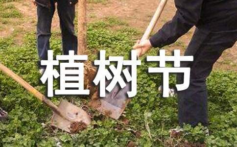 幼兒園植樹節親子活動總結 幼兒園植樹節親子活動美篇