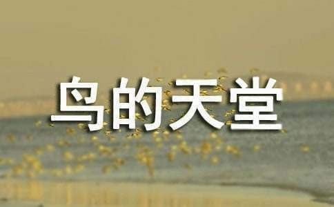 鳥的天堂解說詞 鳥的天堂解說詞200字