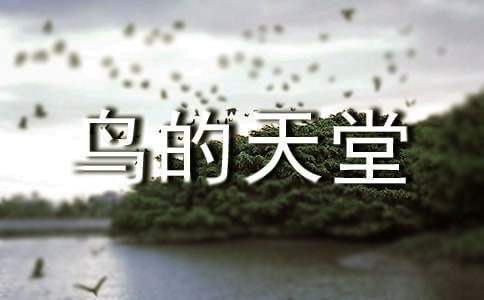 鳥的天堂解說詞 鳥的天堂解說詞20字