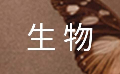 高中生物工作計劃 高中生物工作計劃范文大全