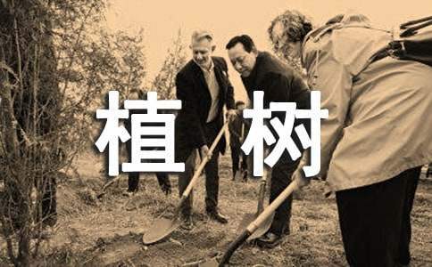 我愛植樹發言稿 我愛植樹節感言