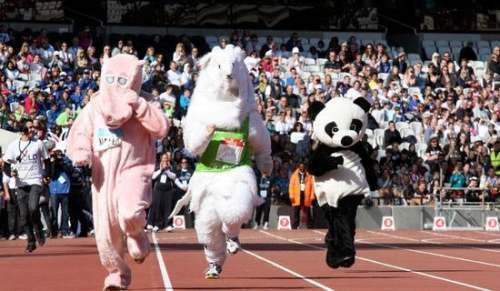大班運動會活動方案 大班運動會活動方案設計