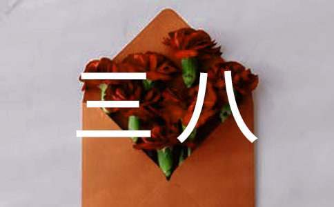慶三八文藝晚會主持詞 慶三八晚會主持稿