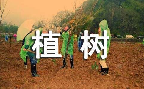 植樹活動策劃 植樹活動策劃案模板
