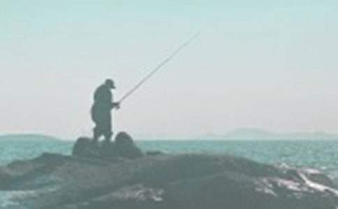 《小貓釣魚》區域活動方案 小貓釣魚區角