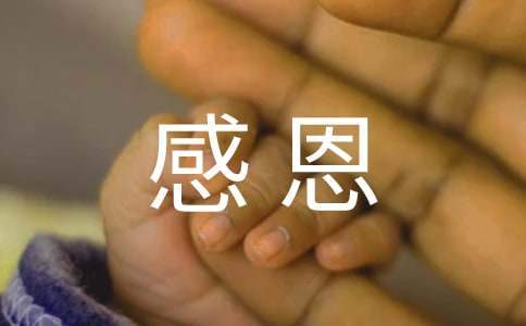 以感恩為主題的助學征文 以感恩為主題的助學征文600字