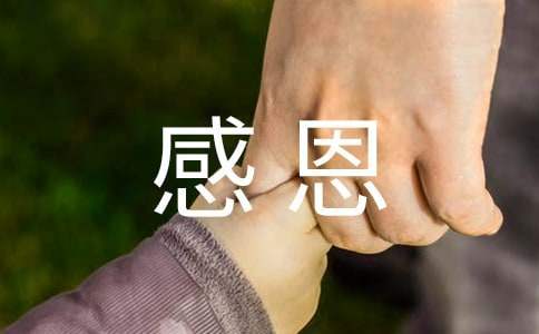 感恩回饋征文 感恩回饋征文500字