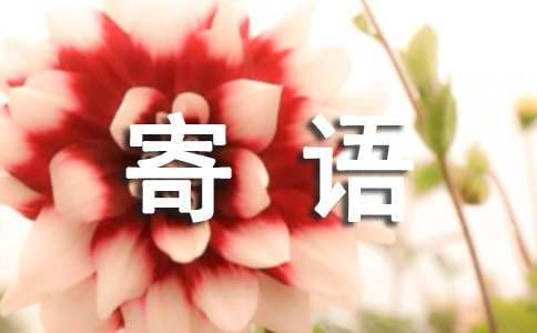 緬懷先烈致敬英雄寄語 緬懷先烈致敬英雄寄語大全