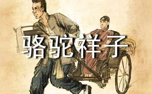 駱駝祥子讀書心得體會 駱駝祥子讀書心得體會800字