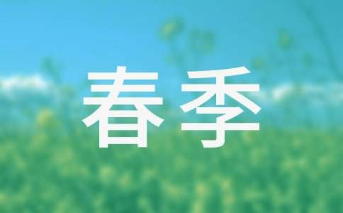 2023小學教導處春季工作計劃 小學教導處春季工作計劃及總結