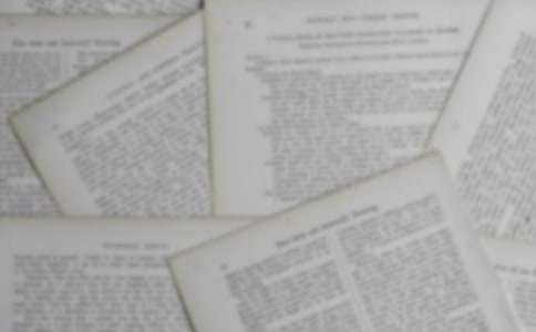 小班美術《小雞》說課稿 小班美術畫小雞說課稿