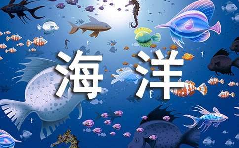 海洋天堂影評觀后感 海洋天堂影評觀后感800字