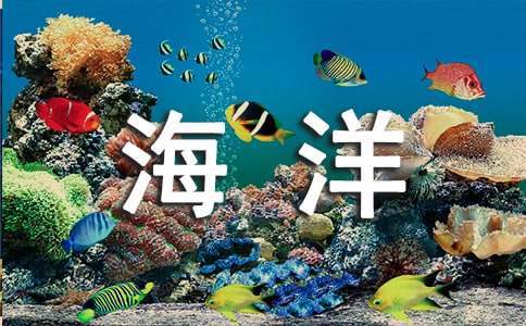 世界海洋日主題活動方案 世界海洋日的活動主題是