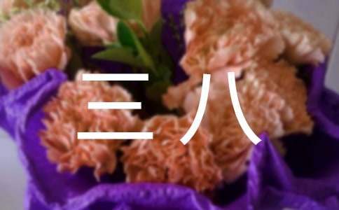 慶三八聯歡活動主持詞 慶三八主持詞結束語