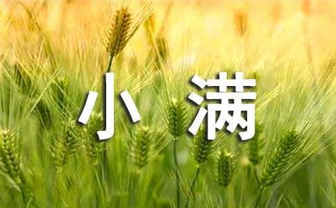 小滿幼兒園活動方案 幼兒園小滿的活動