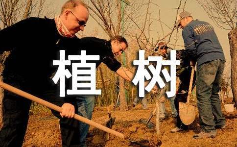 春季義務植樹活動實施方案 春季義務植樹活動工作的通知