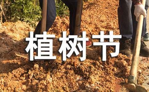 社區植樹節活動方案 社區植樹節活動方案認領樹木怎么寫
