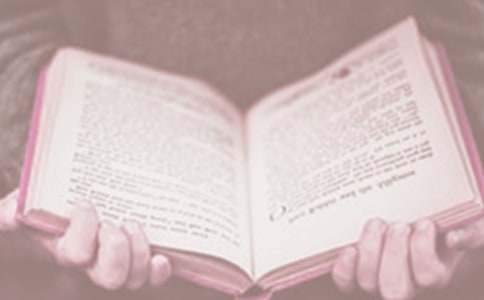 最新世界讀書日主題活動方案 世界讀書日主題活動方案中班