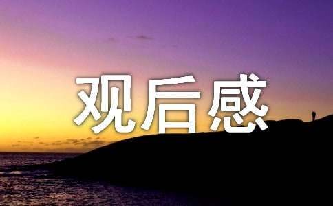 最美鐵路人觀后感[優秀] 最美鐵路人觀后感300字