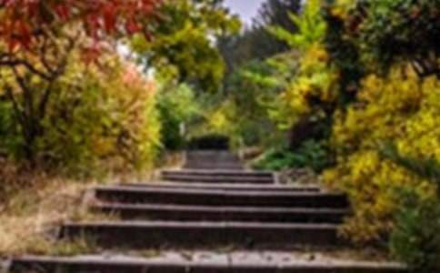 巨人的花園說課稿 巨人的花園說課稿一等獎