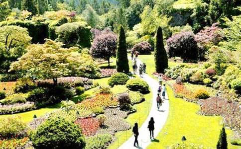 《巨人的花園》說課稿模板 《巨人的花園》說課稿模板