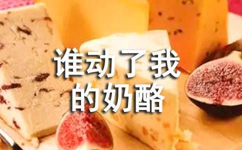 假期誰動了我的奶酪讀書心得 誰動了我的奶酪讀書報告800字